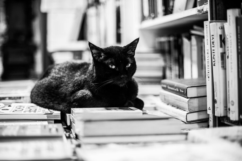 livro um pouco de Fauna em versos