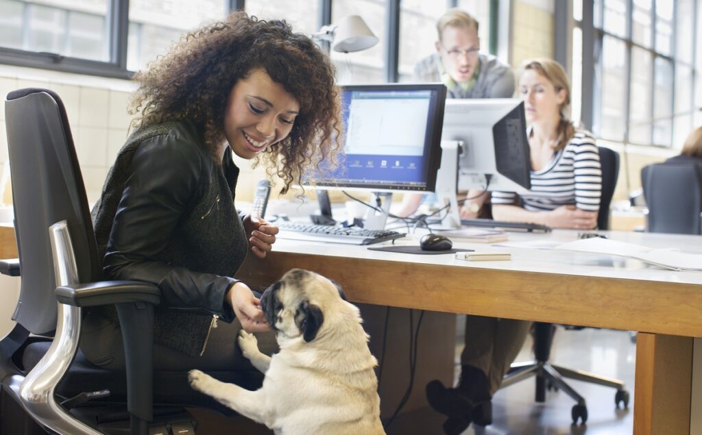 Mulher negra em escritório pet friendly