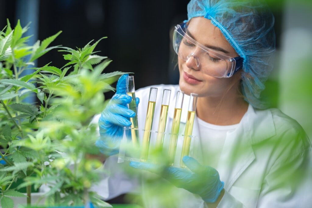 Cannabis medical