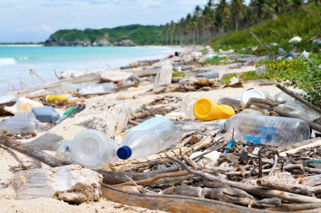 Movimento para reduzir lixo nas praias