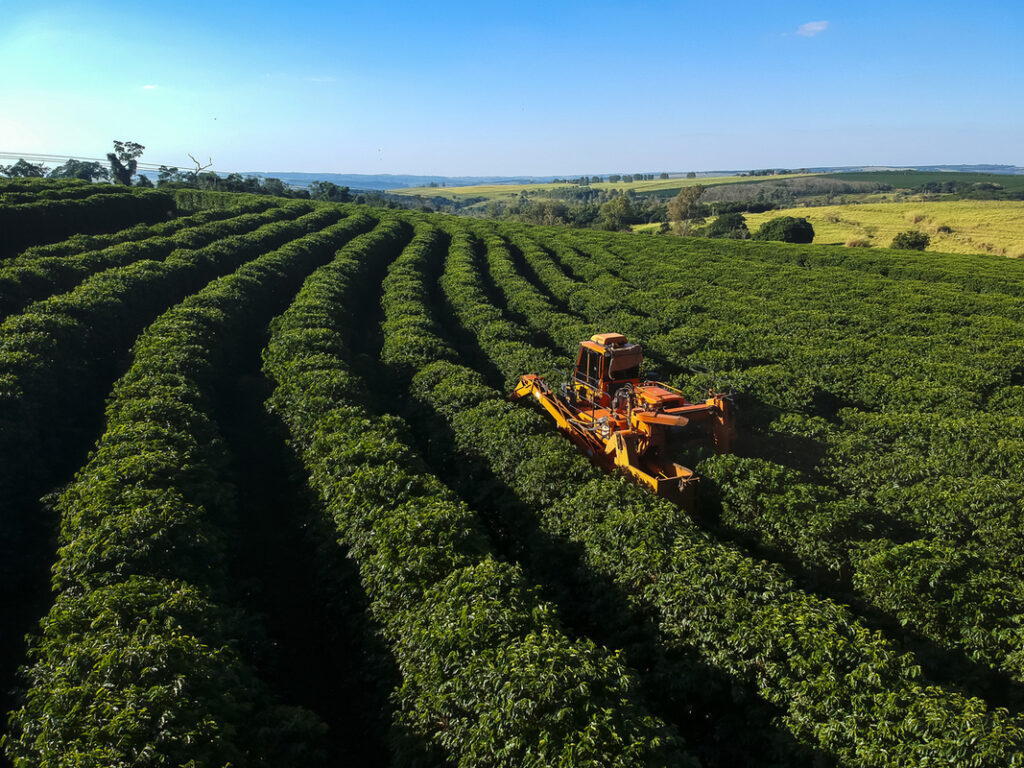 Tarifas de Trump abrem chance ao agro brasileiro