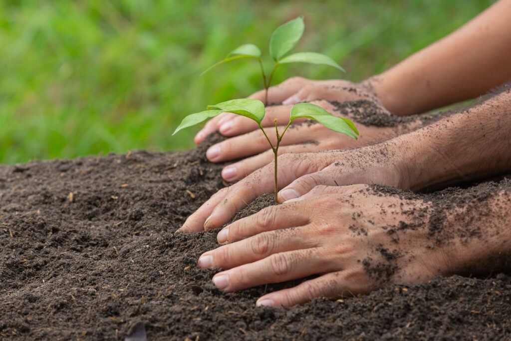 Promessas climáticas podem exigir 1 bilhão de hectares