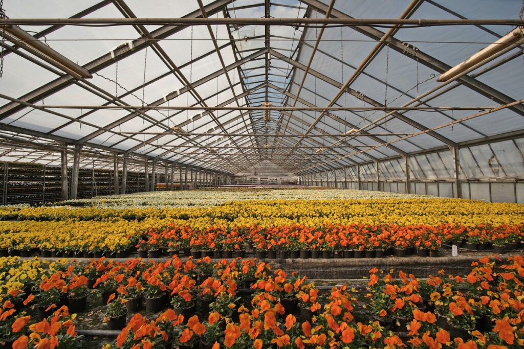 E-commerce de flores busca entregas rápidas com clientes mais exigentes