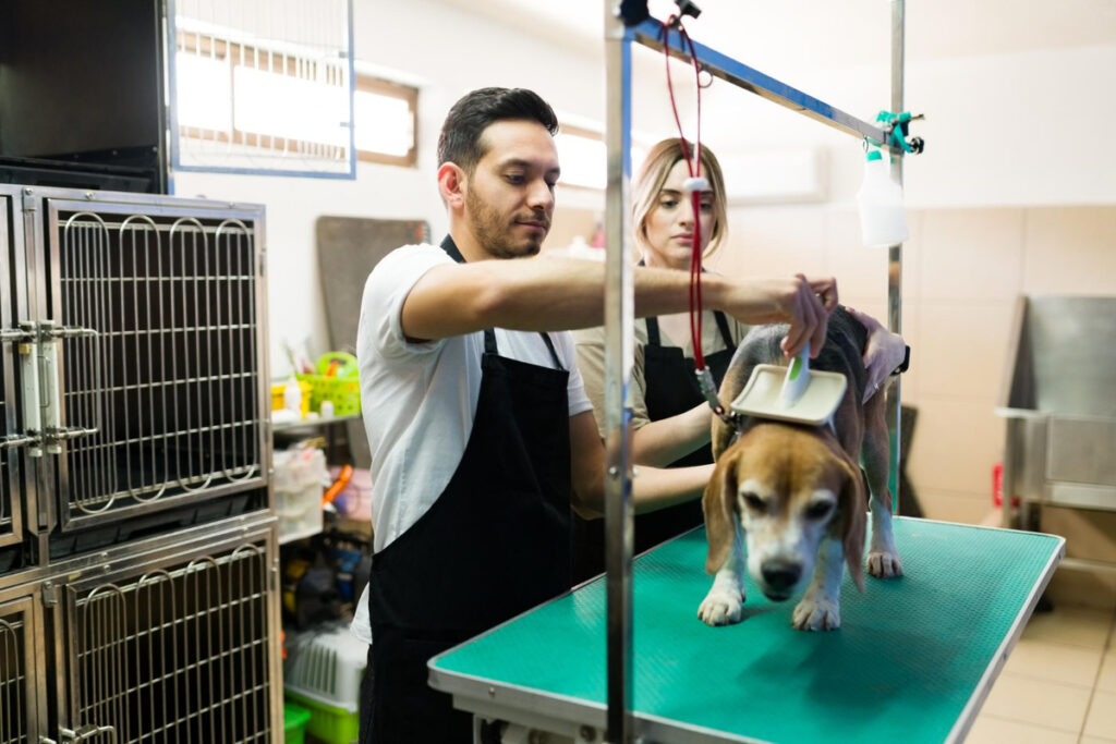 CEO lista dicas e tendências para profissionais do setor pet