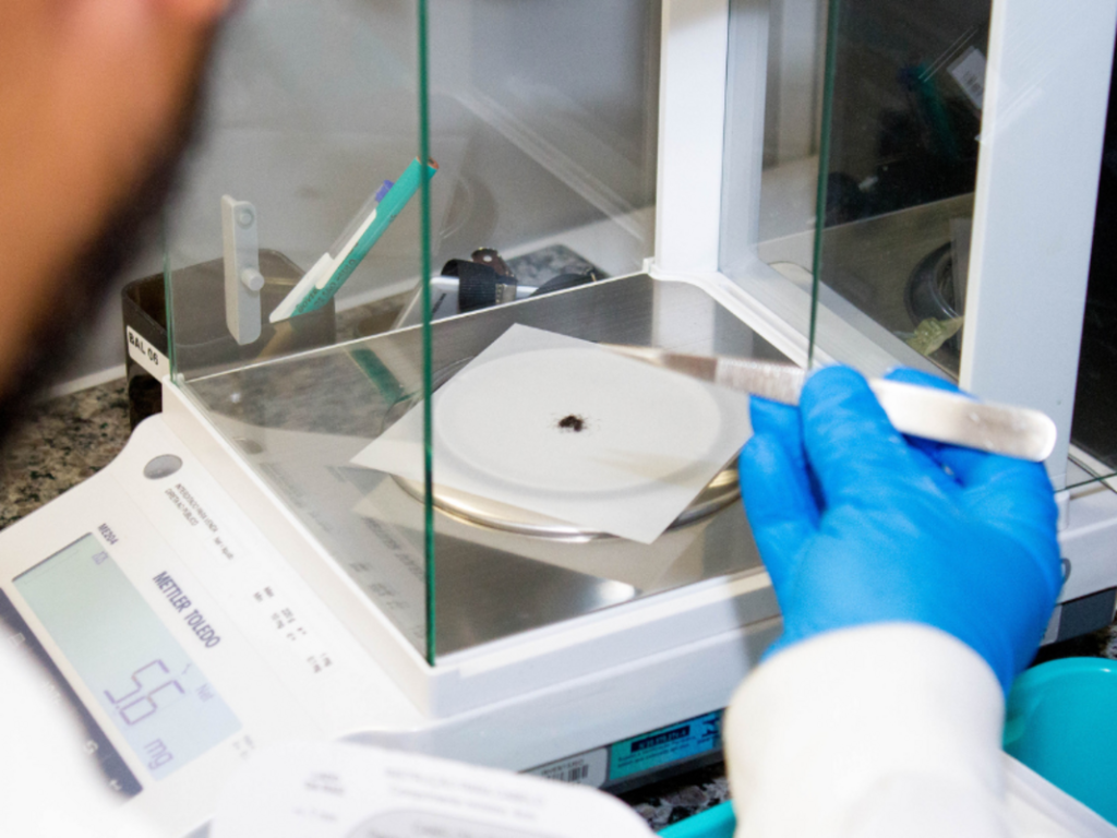 Análise de exame toxicológico