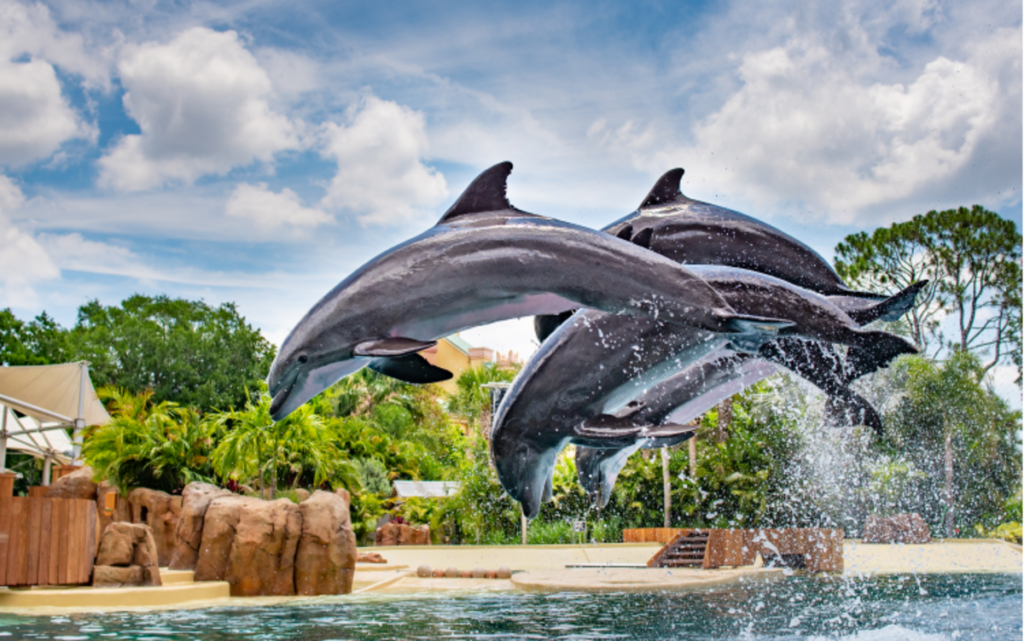 SeaWorld