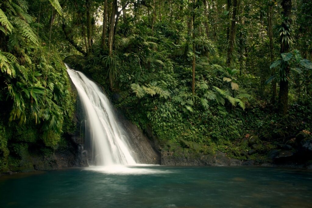Ecoturismo combina contato com a natureza e sustentabilidade