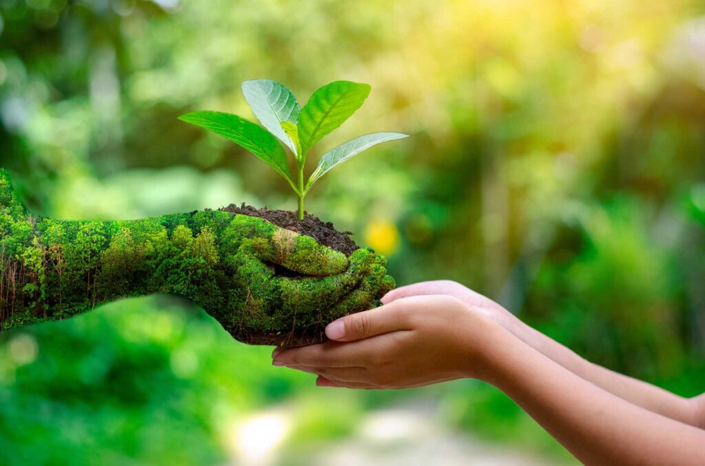 Educação ambiental promove o desenvolvimento sustentável