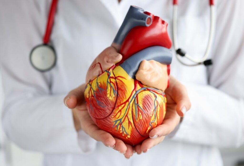 Doenças cardiovasculares lideram mortes no Brasil