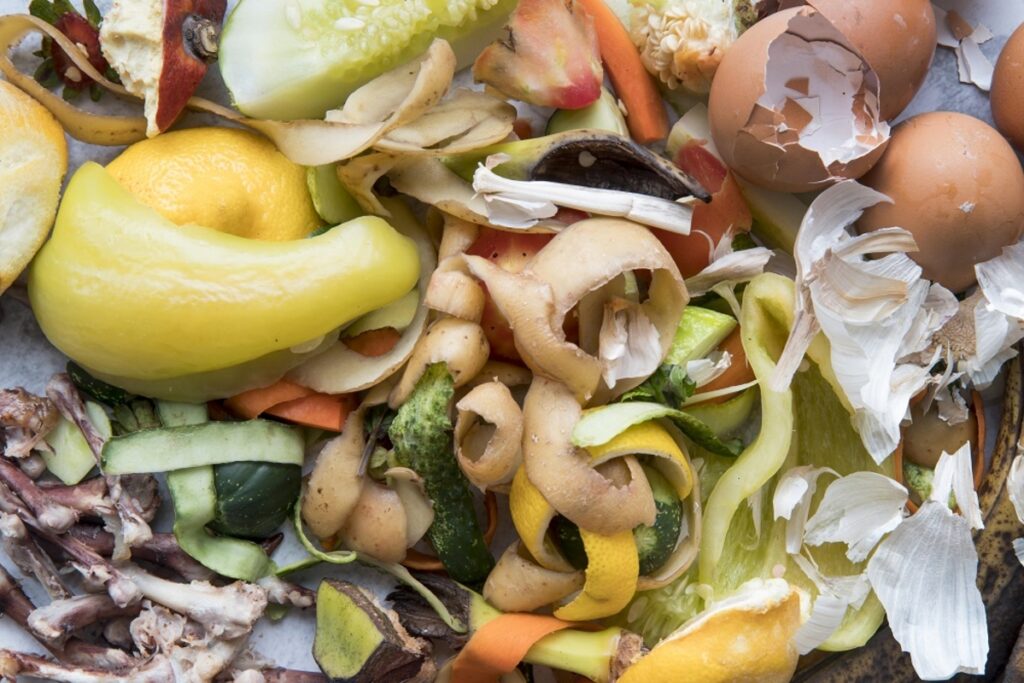 Pacto une setores para combater desperdício de alimentos