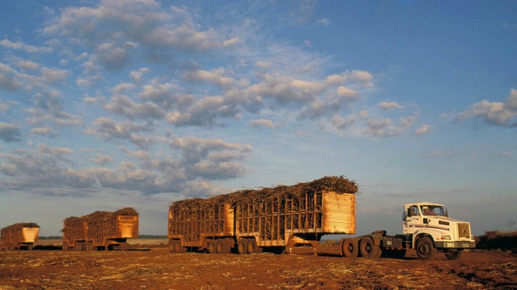 Transporte de cana