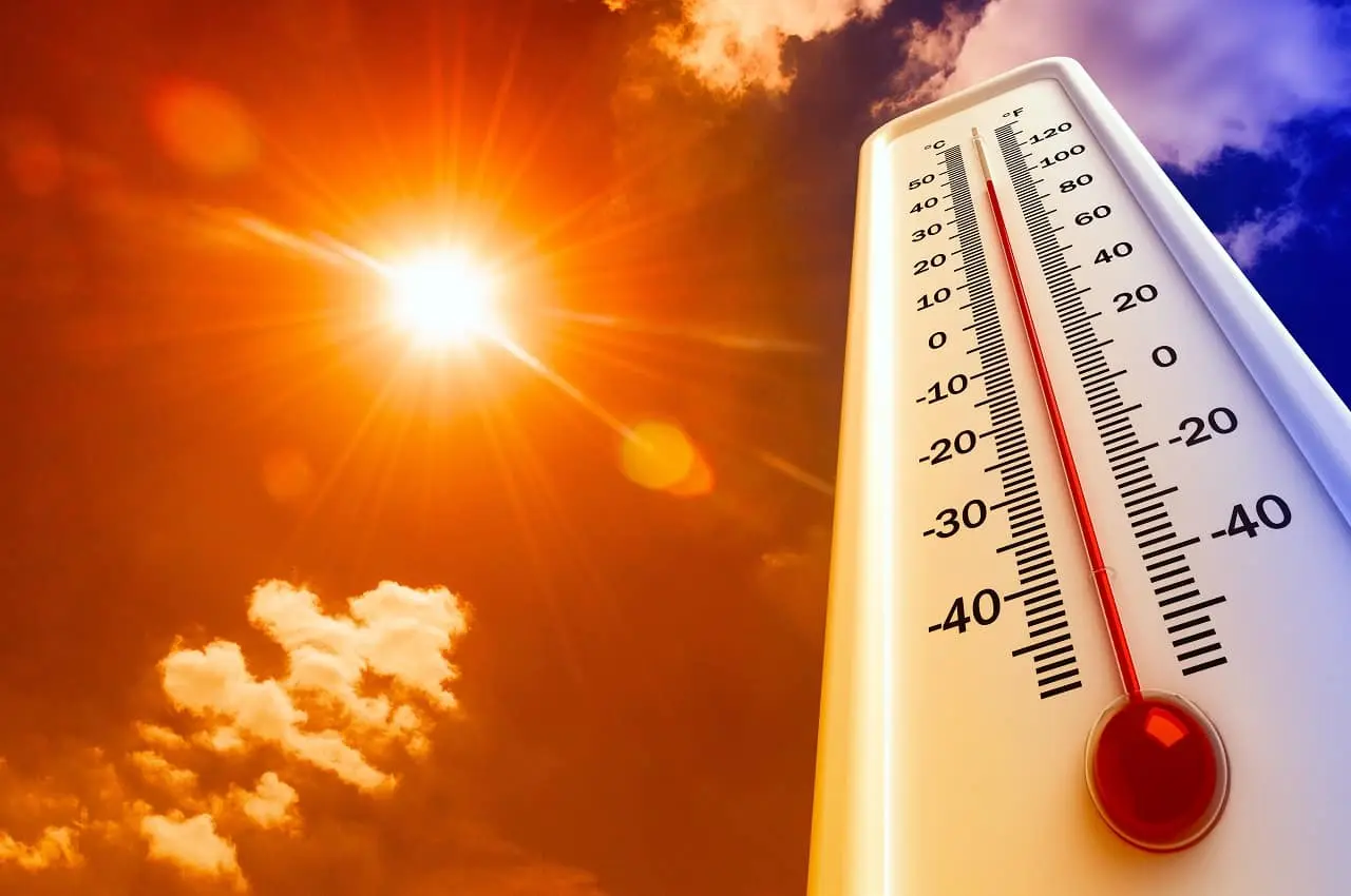 “Calorzão do cão”: conheça as consequências da alta temperatura para a saúde e quais ocorrências são atendidas pelas UPAs