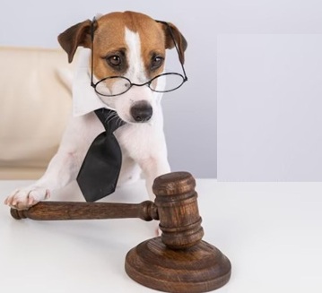 OAB e Secretaria de Proteção Animal de Fortaleza firmam parceria pela defesa de direitos dos animais