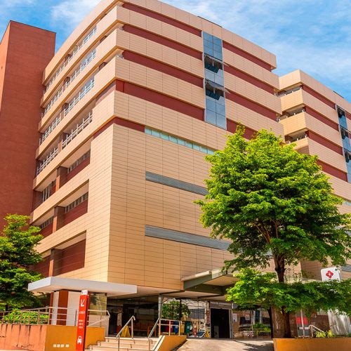 Tratamento da endometriose no Ceará ganha reforço com cirurgia robótica pelo SUS