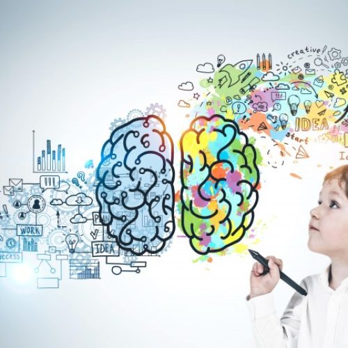 Senado promove debate sobre políticas públicas para superdotados