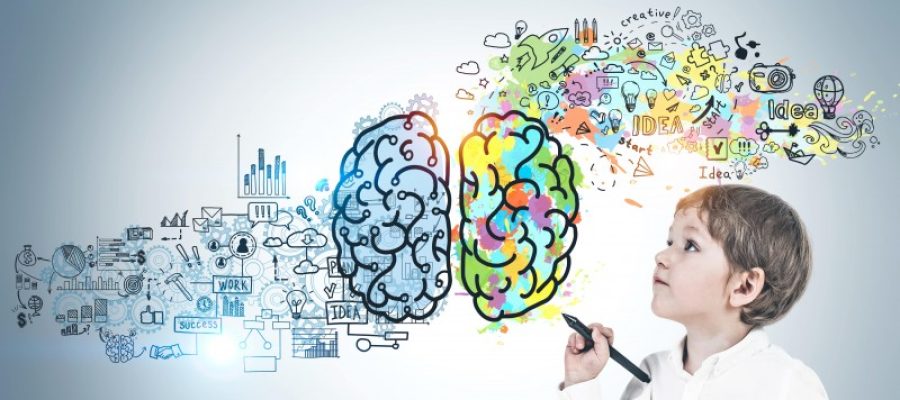 Senado promove debate sobre políticas públicas para superdotados