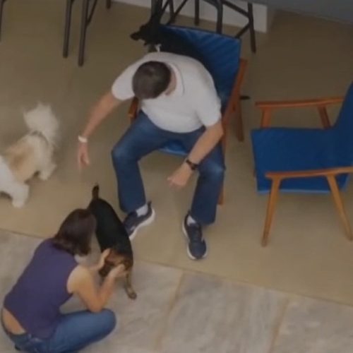 Michelle dá dica para Xandão mandar Bolsonaro de volta para o xilindró: “Ele é forte”