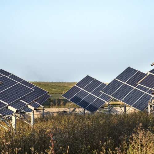 Inteligência de dados avança no setor fotovoltaico