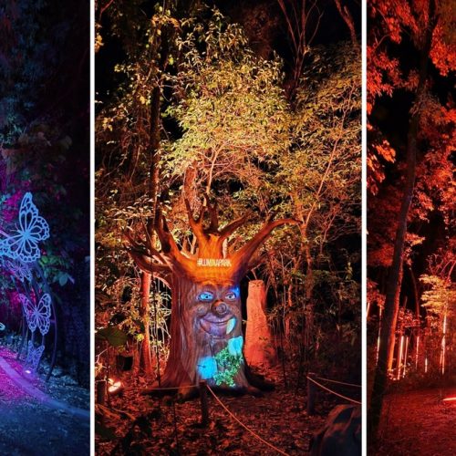 Wonder Park Foz inaugura nova atração "Lumina"