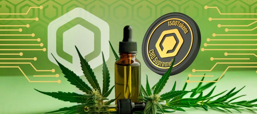 Mercado brasileiro lança clube de assinatura de cannabis medicinal; País tem mais de 670 mil pacientes que usam o produto