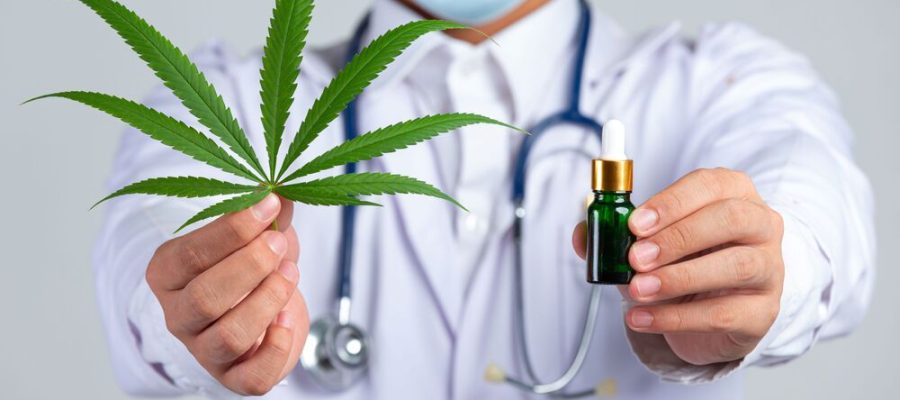 Cannabis medicinal no Brasil: nova era regulatória ou avanço ainda restrito?