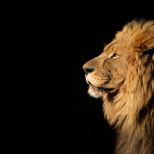 IRPF 2026 traz cerco às apostas e “cashback” tributário