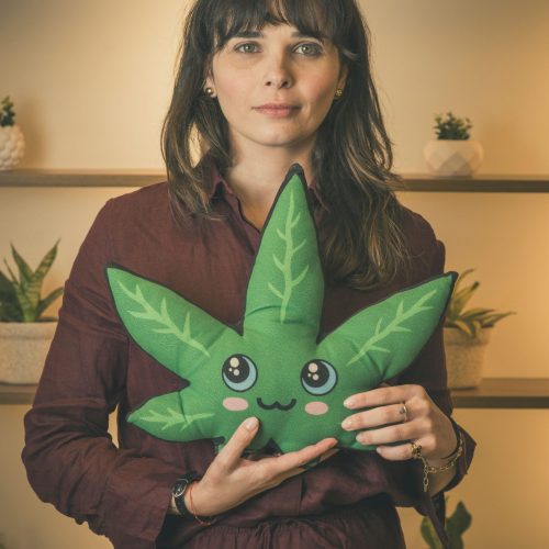 Empresa de Cannabis inicia projeto de crescimento no mercado nacional