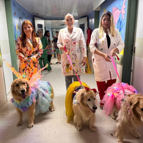 Momento fofo: pets e mascotes de times compartilham alegria no Hospital Waldemar Alcântara na Semana da Criança