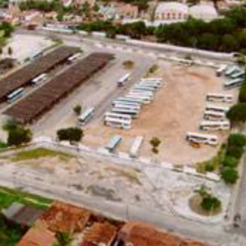 Parada Verde: Prefeitura de Fortaleza lança projeto com distribuição de mudas nos terminais de ônibus