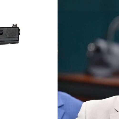 Bolsonaristas aprovam liberação de armas para veterinários; autor da proposta deu dinheiro público para o filme de Bolsonaro