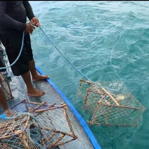 Projeto Manzuá faz exposição e oficinas gratuitas em Icapuí sobre a pesca artesanal da lagosta