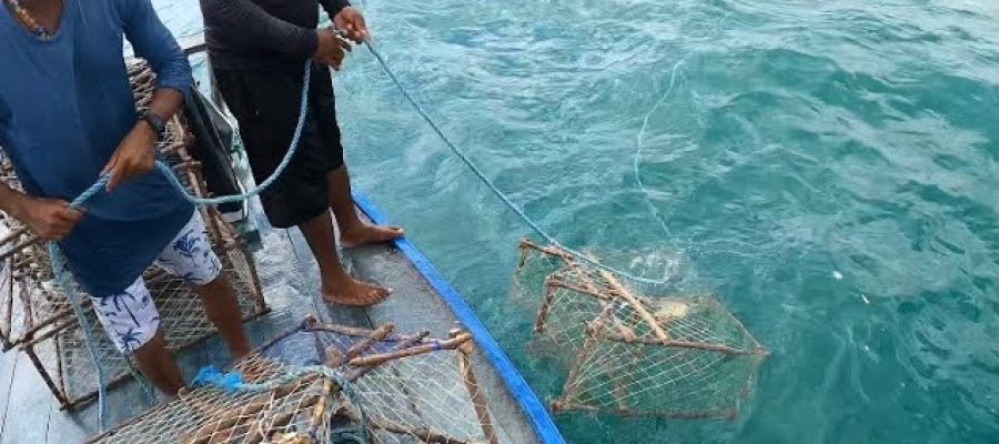 Projeto Manzuá faz exposição e oficinas gratuitas em Icapuí sobre a pesca artesanal da lagosta