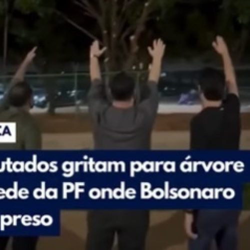 A Coluna do Roberto Maciel (quinta, 27.11): A bizarrice bolsonarista tem reflexos no Ceará