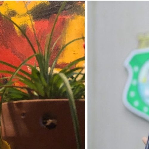 Petistas rebatem violência de Ciro Gomes contra mulheres do PT cometida na convenção bolso-tucanista