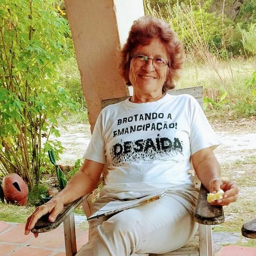 Alece cria comenda Rosa da Fonsêca para homenagear mulheres que se destacam em diferentes áreas