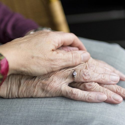 Giuliana Flores prevê aumento de 20% nas vendas para o Dia dos Avós