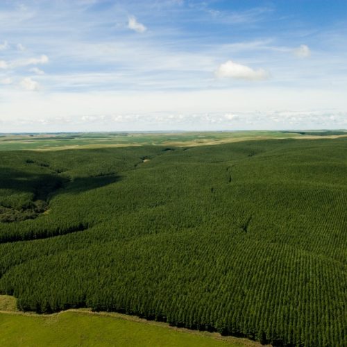 Guararapes apresenta relatório de sustentabilidade