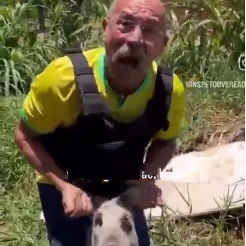 MP pede à Justiça condenação do vereador bolsonarista conhecido como “Inspetor Alberto” por injúria eleitoral, maus tratos a animal e dano moral coletivo; agressão pode custar R$ 100 mil ao acusado