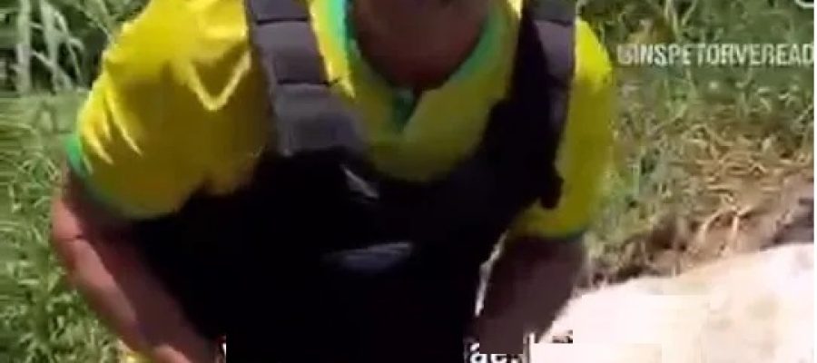MP pede à Justiça condenação do vereador bolsonarista conhecido como “Inspetor Alberto” por injúria eleitoral, maus tratos a animal e dano moral coletivo; agressão pode custar R$ 100 mil ao acusado