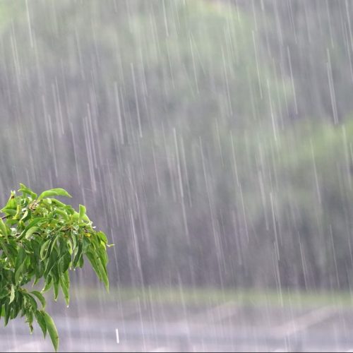 A Coluna do Roberto Maciel (quinta, 19.3): São José e as eleições