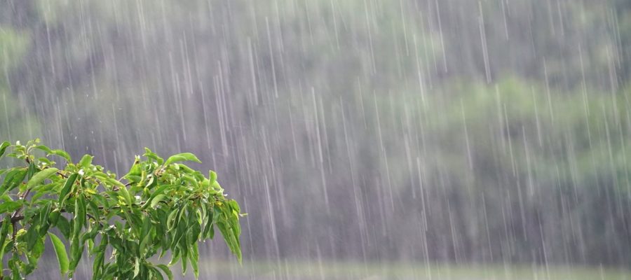 A Coluna do Roberto Maciel (quinta, 19.3): São José e as eleições