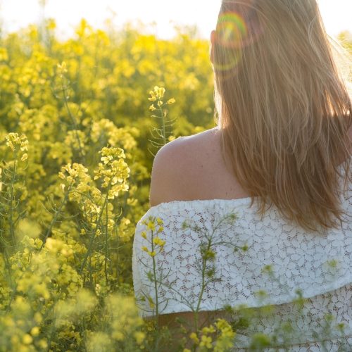Sazonalidade e datas comemorativas definem tendências e consumo das flores