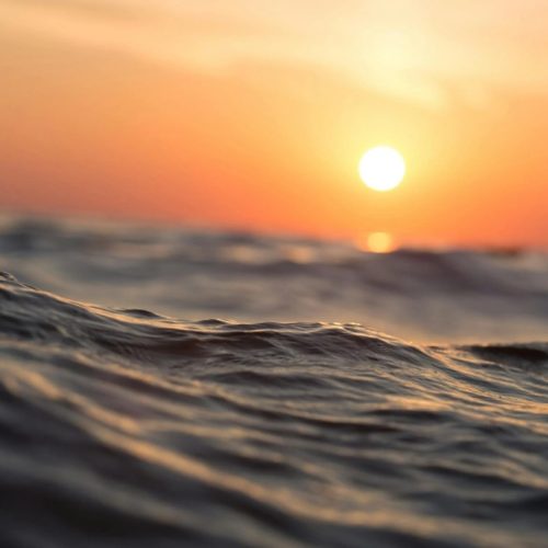 Dia Mundial dos Oceanos alerta sobre a importância desta fonte de biodiversidade