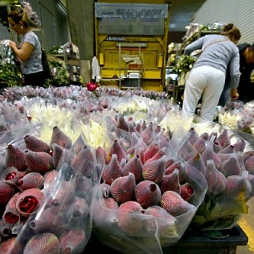 A Crônica da Tuty: “Jamais é demais”