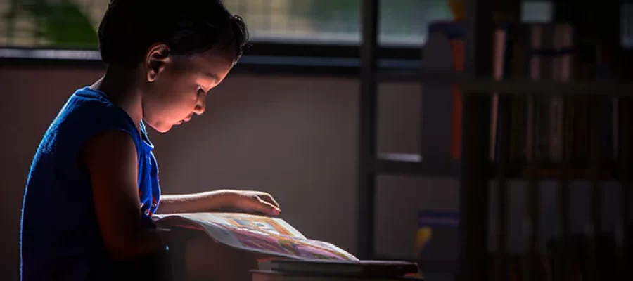 Jornada Literária Mariquinha Maricota leva leitura, arte e inclusão a escolas do Cariri cearense