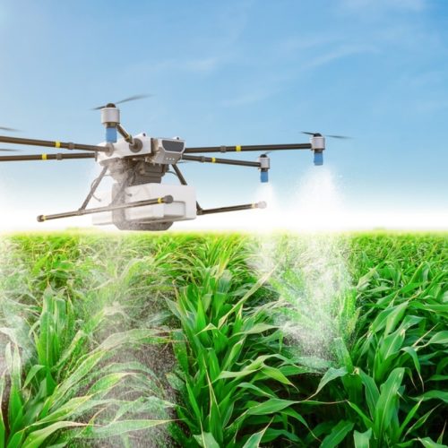Tecnologia impulsiona sustentabilidade no agronegócio brasileiro