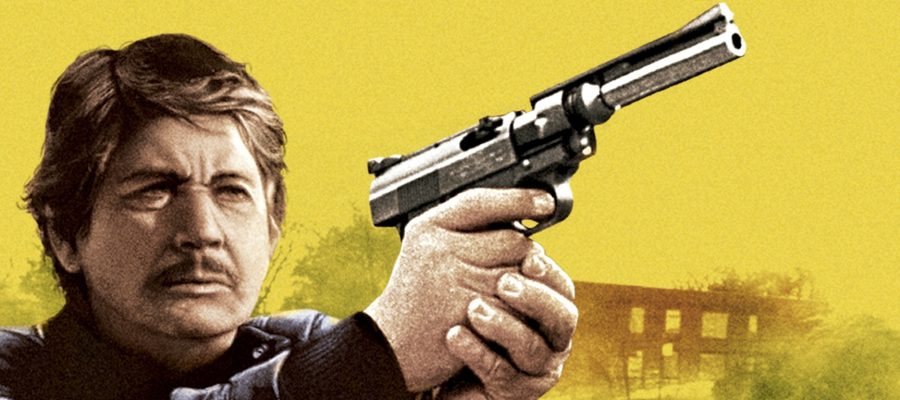 Roberto Maciel: A política e o crime