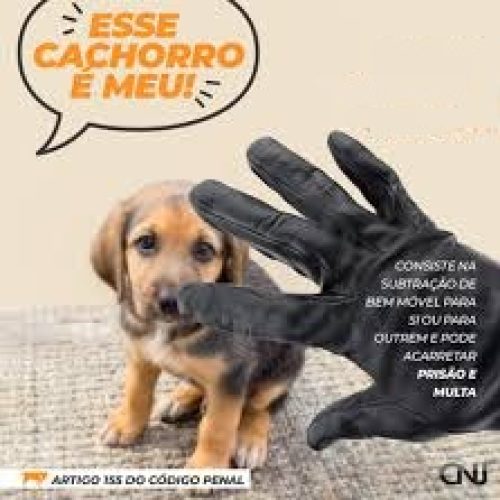 Mulher é condenada a indenização por danos morais por divulgar imagens de outra mulher e de menor, acusando-os falsamente de furtar cão