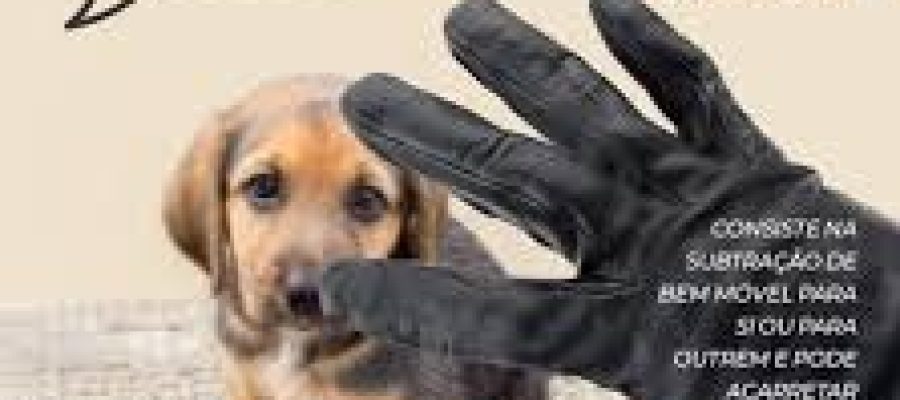 Mulher é condenada a indenização por danos morais por divulgar imagens de outra mulher e de menor, acusando-os falsamente de furtar cão