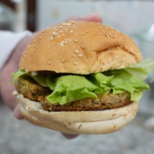 Embrapa do Maranhão desenvolve hambúrguer de babaçu